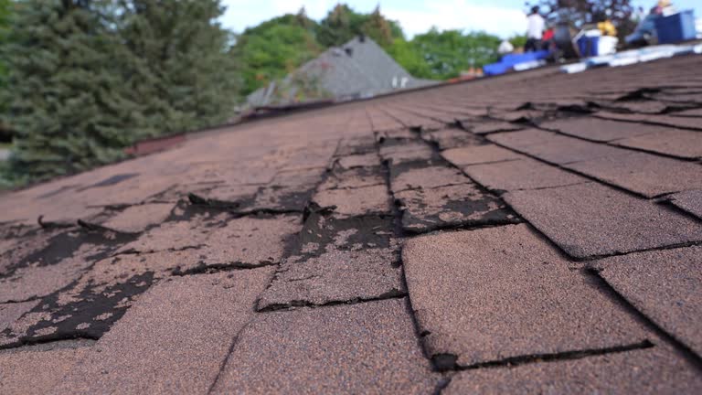 Best Sheet Metal Roofing  in Kentwood, MI